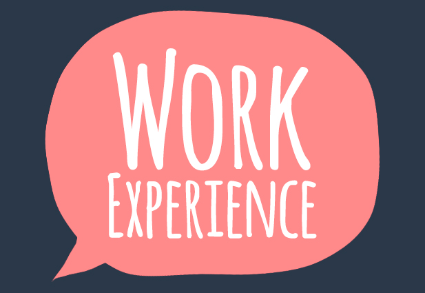work experience the cornerstone of your application vet school
