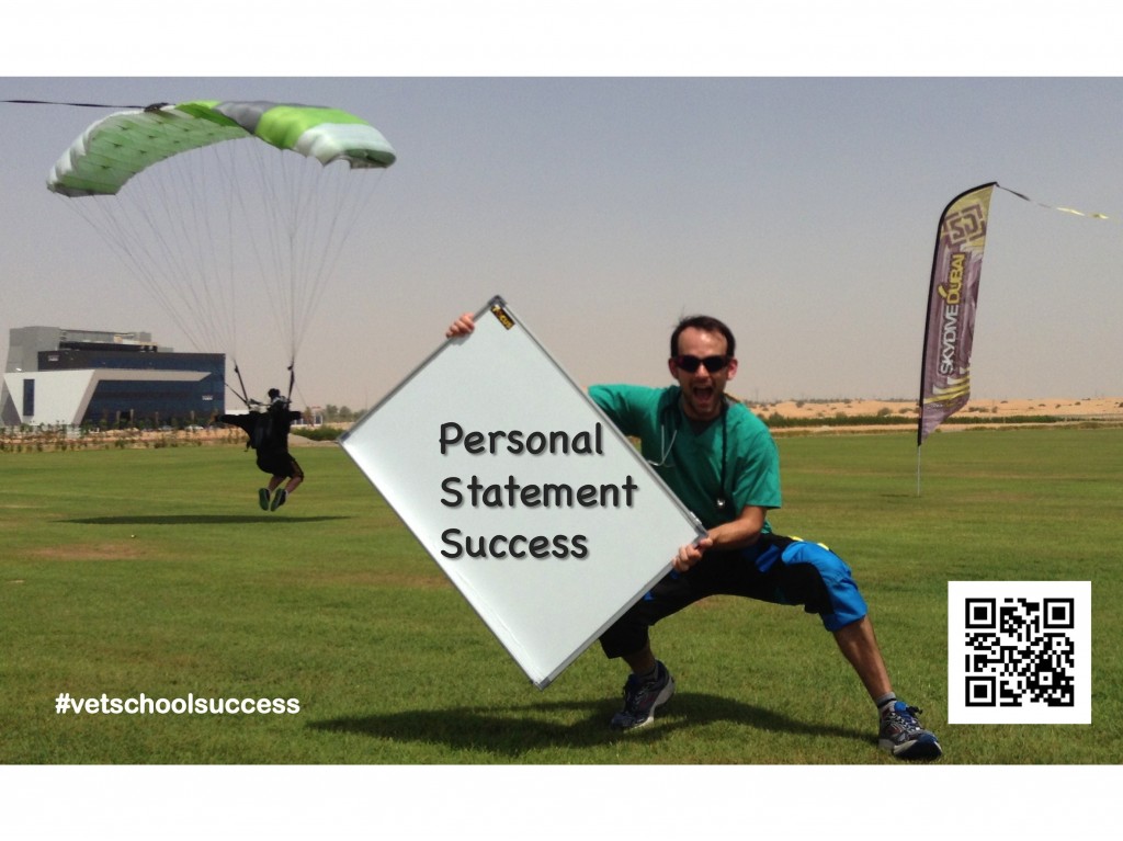 Personal Statement Success, Skydive, Vet School Success